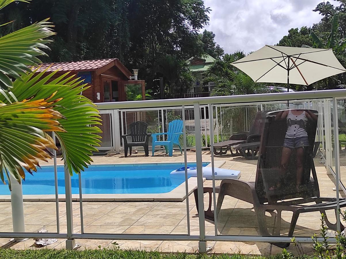 Le Tri Haut De Bellevue - Bungalow Colibri Pointe-Noire Bagian luar foto