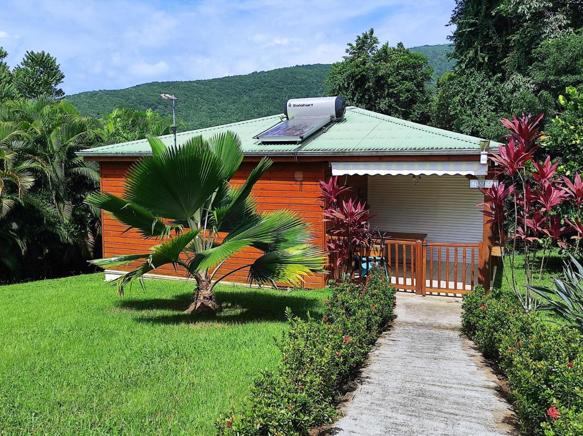 Le Tri Haut De Bellevue - Bungalow Colibri Pointe-Noire Bagian luar foto